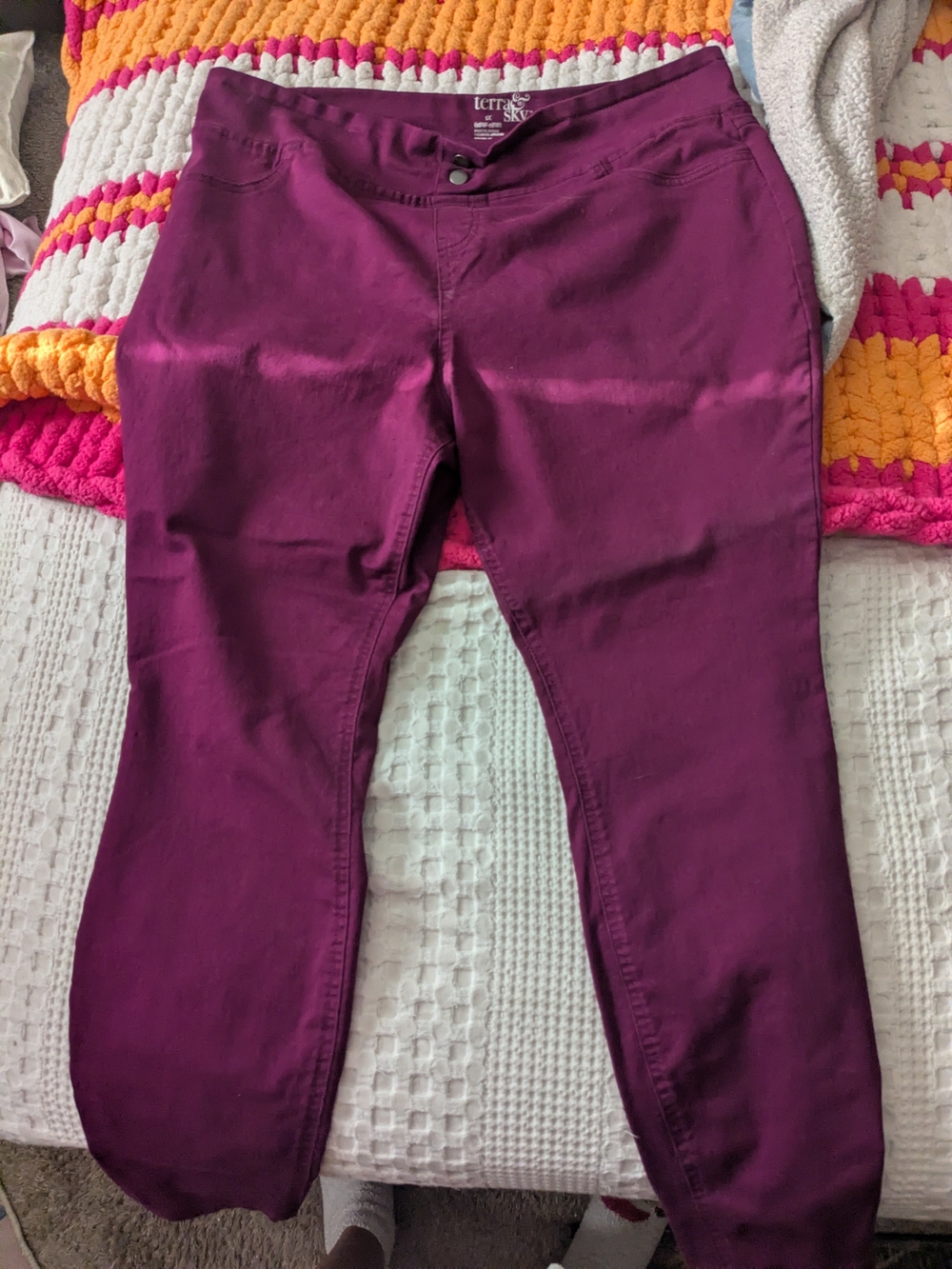 Terra & Sky Plum Stretch Waist Pants